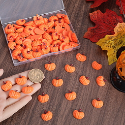 80Pcs Autumn Opaque Resin Decoden Cabochons&nbsp;RESI-SC0003-53