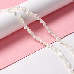天然トロチッドシェル/トロカスシェルビーズ  ピーチハート  貝殻色  6.5x6.5x2~2.5mm  穴：0.8mm  約60~63個/連  145-15.5インチ（37~40cm）&nbsp;SSHEL-O001-27A