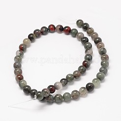 Natural Bloodstone Beads Strands&nbsp;G-P025-21-6mm