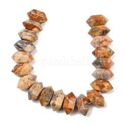 Natural Crazy Agate Double Terminated Point Beads Strands&nbsp;G-T142-90