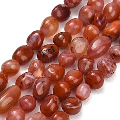 Natural Red Agate(Dyed & Heated) Beads Strands&nbsp;G-C287-A01-02