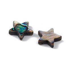 天然アワビシェル/パウアシェルビーズ  スター  カラフル  12.5x12.5x3.5mm  穴：0.9mm&nbsp;SSHEL-M021-07