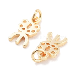 Brass Pendants&nbsp;KK-P271-30G