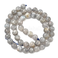 天然石ラブラドライトビーズ連売り  ファセット（128ファセット）  ラウンド  8mm  穴：1.2mm  約46個/連  15.04インチ（38.2cm）&nbsp;G-L642-F07-8mm
