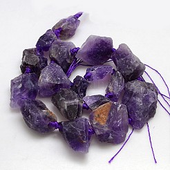 Natural Gemstone Amethyst Beads Strands&nbsp;G-L159-B-06C