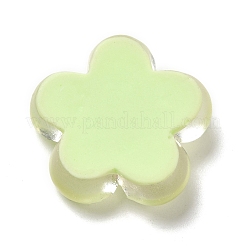 Translucent Resin Cabochons&nbsp;X-RESI-C034-04