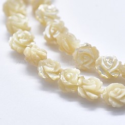 シェルビーズ連売り  両面バラ  湯通しアーモンド  12~12.5x4~5.5mm  穴：1mm  約33個/連  14.96インチ（38cm）&nbsp;SSHEL-P015-01B-12mm