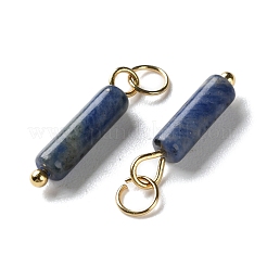 天然石ソーダライトペンダント  304ステンレススチールの丸カン付きコラムチャーム  ゴールドカラー  18.5~19x4~4.5mm  穴：3.5mm&nbsp;STAS-C120-01G-03