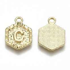 Alloy Pendants&nbsp;PALLOY-N157-003C-NR