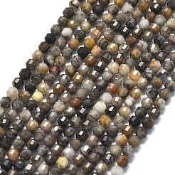 Natural Larvikite Beads Strands&nbsp;G-A260-A23-01