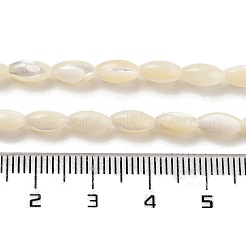 Natural Trochid Shell/Trochus Shell Beads Strands&nbsp;PBB513Y