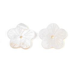 天然淡水シェルビーズ  花  貝殻色  16x2mm  穴：1.4~1.6mm&nbsp;SHEL-N038-12