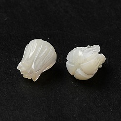 天然トロチッドシェル/トロカスシェルビーズ  花  貝殻色  7x6mm  穴：1mm&nbsp;BSHE-E026-03