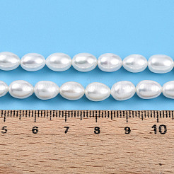 Natural Cultured Freshwater Pearl Beads Strands&nbsp;PEAR-N012-AA-01