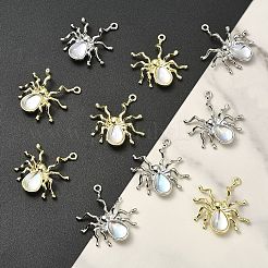 10色ハロウィンラックメッキ合金ペンダント2個。  クモのチャーム  ライラック樹脂ビーズ付き  カドミウムフリー＆鉛フリー  プラチナ·ゴールデン  30x27x5.8mm  穴：1.6mm  5個/カラー&nbsp;FIND-YW0012-28