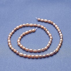 Natural Cultured Freshwater Pearl Beads Strands&nbsp;PEAR-P060-06A