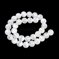 Natural Selenite Beads Strands&nbsp;G-L552H-16D