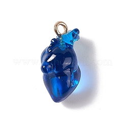 Transparent Resin Pendants&nbsp;RESI-E028-01G-05