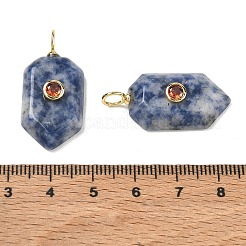 Natural Blue Spot Jasper Pendants&nbsp;KK-CBAF9BC-20G-04