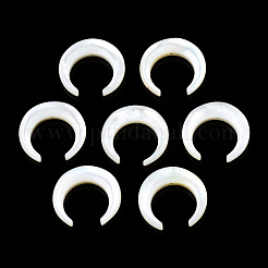 Natural White Shell Beads&nbsp;SSHEL-N034-122A-03