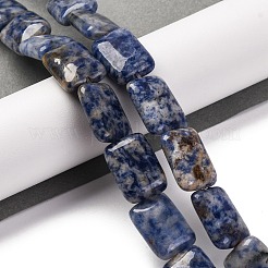 天然ブルースポットジャスパービーズ連売り  長方形  18x13.5x5.5mm  穴：1.2mm  約22個/連  15.75インチ（40cm）&nbsp;G-T047-B10-01