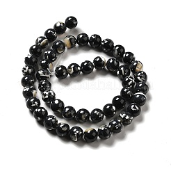 Synthetic Turquoise and Sea Shell Assembled Beads Strands&nbsp;G-D482-01C