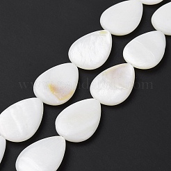 Natural Freshwater Shell Beads Strands&nbsp;SHEL-H001-12