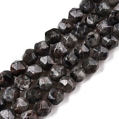 Natural Fluorescent Syenite Rock(Glow under UV Light) Beads Strands&nbsp;G-T138-219