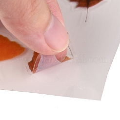 Waterproof Plastic Self Adhesive Stickers&nbsp;DIY-F064-13B