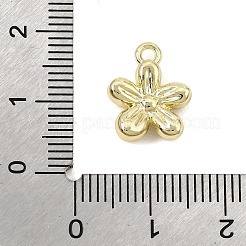 Alloy Charms&nbsp;AL-CBAFCDA-03G