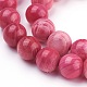 Shell Beads Strands&nbsp;BSHE-L041-07B-4