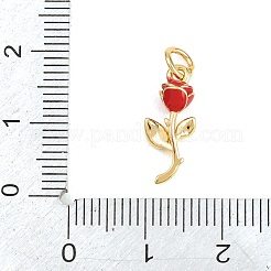 Brass Pendants&nbsp;KK-H273-44G-02