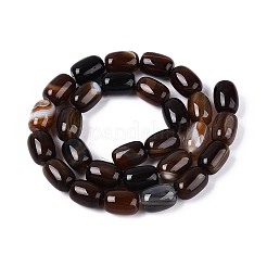 Dyed Natural Banded Agate Beads Strands&nbsp;G-T144-44B