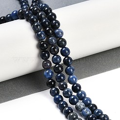 Natural Dumortierite Beads Strands&nbsp;G-G167-A06-6MM