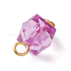 Transparent Acrylic Pendants&nbsp;PALLOY-JF04258-01