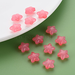Transparent Acrylic Beads&nbsp;MACR-S373-26E-06