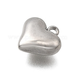 304 Stainless Steel Charms&nbsp;STAS-Z163-03P