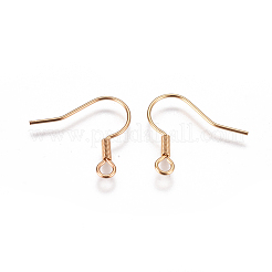 304 Stainless Steel Earring Hooks&nbsp;STAS-F227-28-G