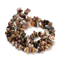 Natural Alashan Agate Beads Strands&nbsp;GG-CBAE051-A04-01