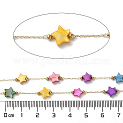 Ion Plating(IP) Real 18K Gold Plated 316 Stainless Steel Paperclip Chains&nbsp;AJEW-Z026-02E