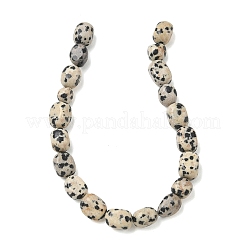Natural Dalmatian Jasper Beads Strands&nbsp;G-C286-A09