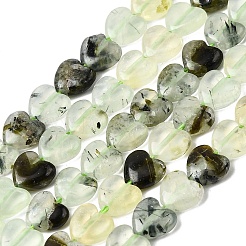 Natural Prehnite Beads Strands&nbsp;G-P575-C19-6mm