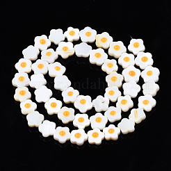 Natural Freshwater Shell Beads Strands&nbsp;SHEL-N003-31B-01