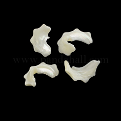 Chips Natural Trochid Shell/Trochus Shell Beads Strands&nbsp;SSHEL-F290-30