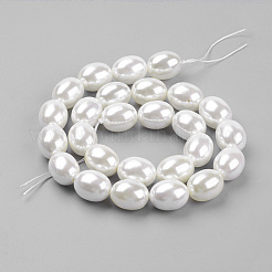 Shell Pearl Beads Strands&nbsp;BSHE-K010-03B