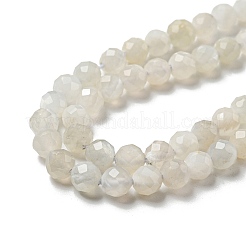Natural Moonstone Beads Strands&nbsp;G-F736-01-AB