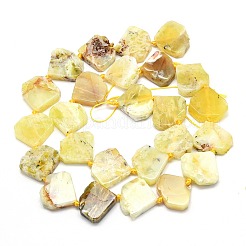天然石イエローオパールビーズ連売り  ダイヤモンド形状  15.5~16.5x17~17.5x5~5.8mm  穴：1mm  約22~24個/連  15.75~15.94インチ（40~40.5cm）&nbsp;G-G106-E02-01