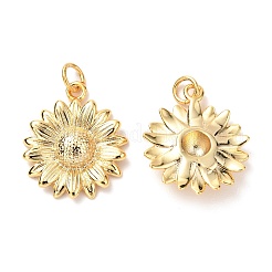 真鍮チャーム  カドミウムフリー＆鉛フリー  長持ちメッキ  花  18KGP本金メッキ  21x18x4.5mm  穴：3mm  丸カン：5x0.8ミリ&nbsp;LS-KK-G399-27