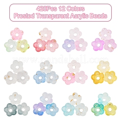 19.2G 12 Colors Frosted Transparent Acrylic Beads&nbsp;OACR-FS0002-18