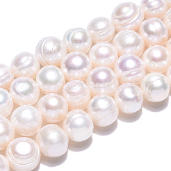 Natural Cultured Freshwater Pearl Beads Strands&nbsp;PEAR-S020-F11
